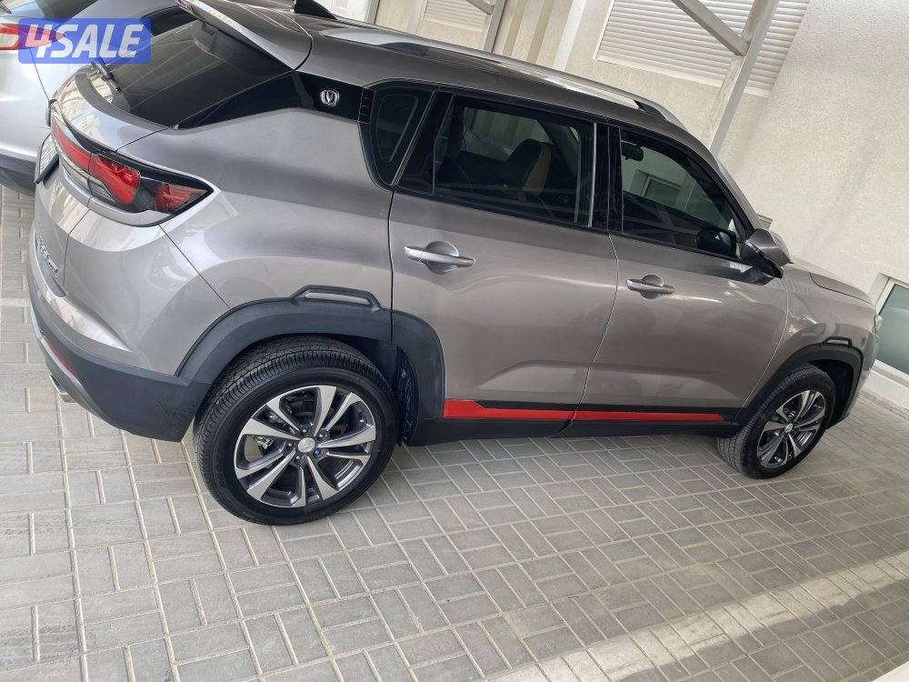 للبيع شانغان م20253