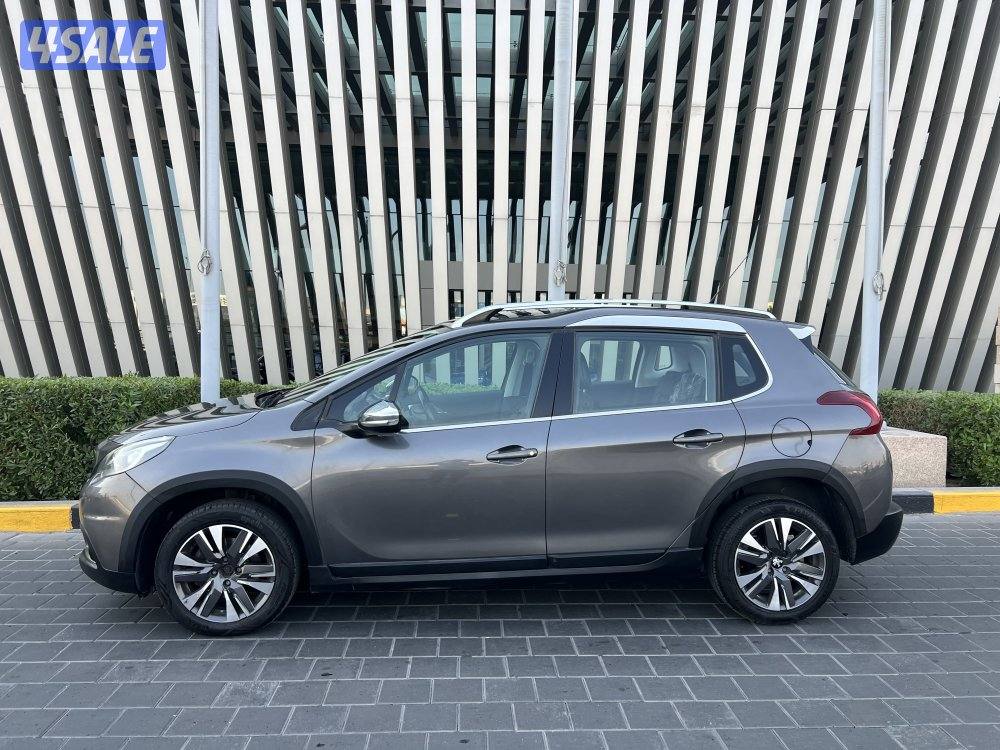 2019 بانوراما1