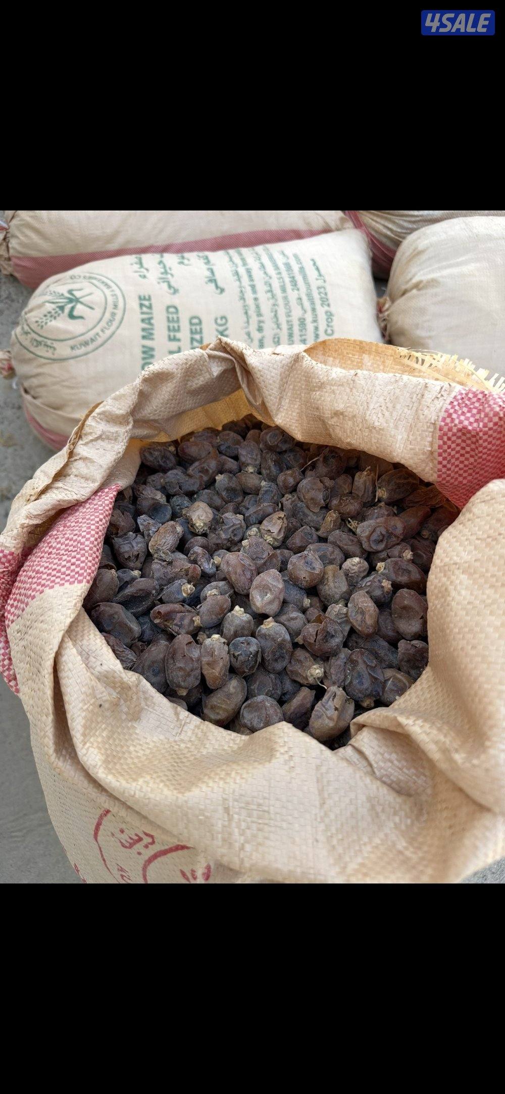 للبيع تمر للحلال0