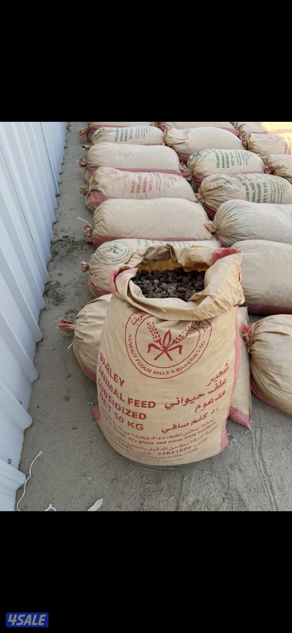 للبيع تمر للحلال1