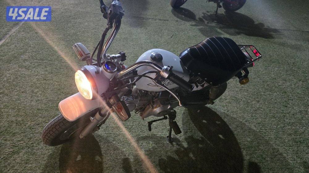 سيكل مونكي1