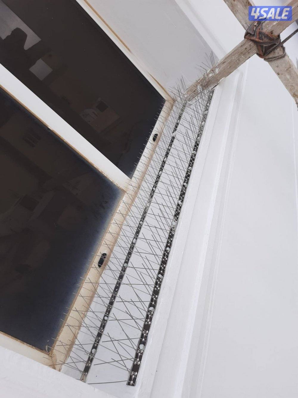 تركيب شبك طارد للتخلص من فضلات الحمام2