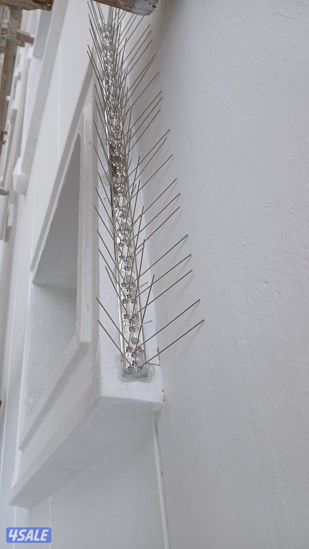 تركيب شبك طارد للتخلص من فضلات الحمام4