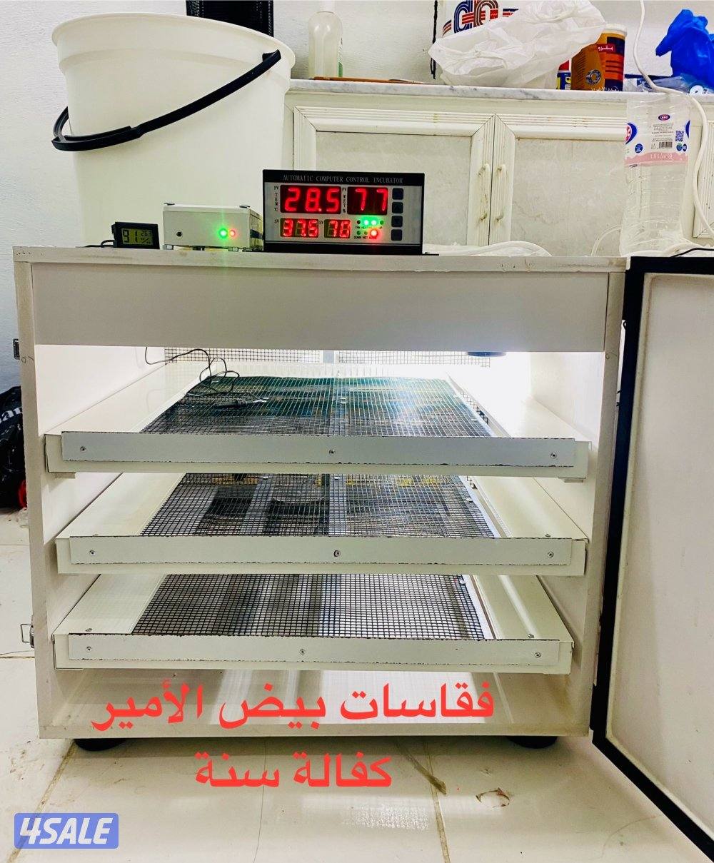 للبيع حمام ( زاجل / باكستاني / لوت ) + فقاسات بيض (بيع وتصليح وصيانة)7