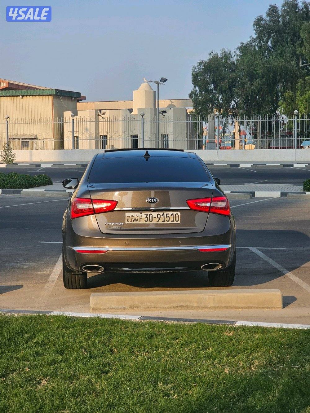 كادينزا عداد 1124