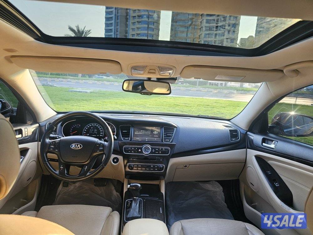 كادينزا عداد 1126