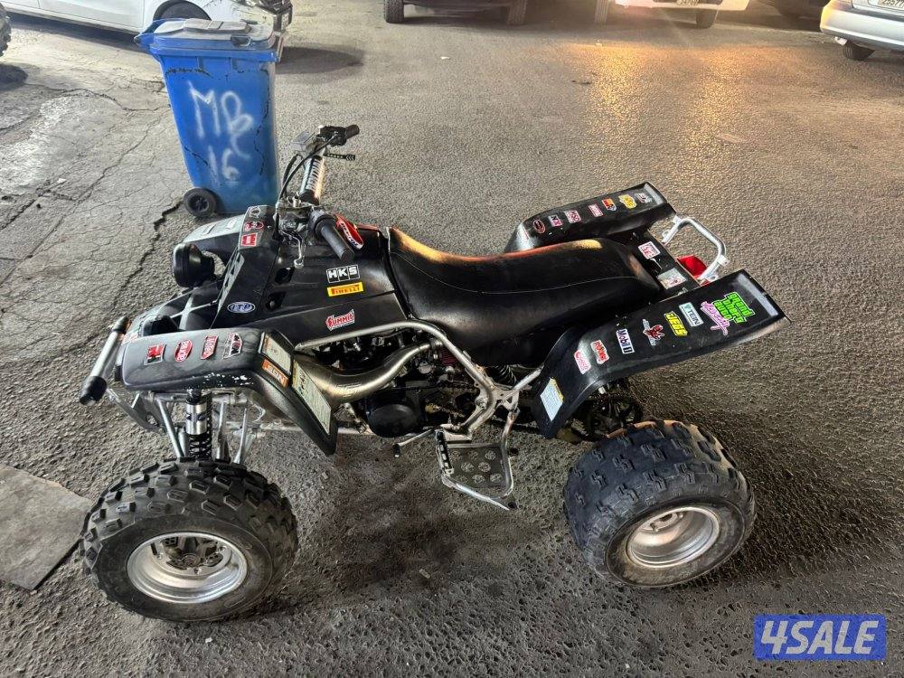 بانشي ٢٠٠٦0