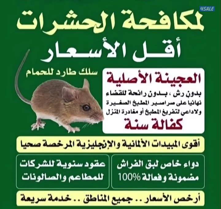 مبارك الكبير0