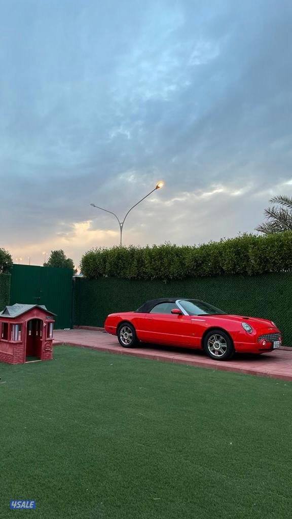 فورد ثندربيرد 20048