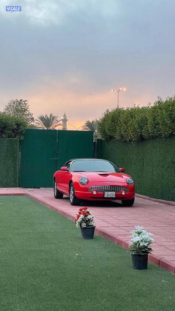 فورد ثندربيرد 20049