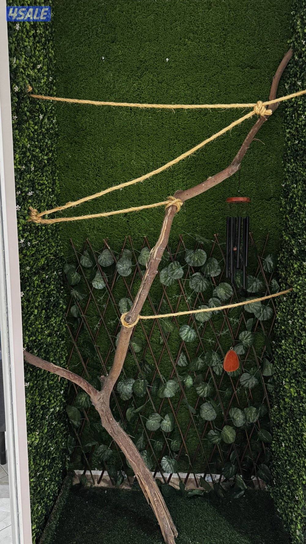 قفص كبير ينفع للحيوانات الاليفه و الطيور - السعر قابل للمساومه5