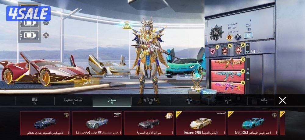 حساب ببجي للبيع0