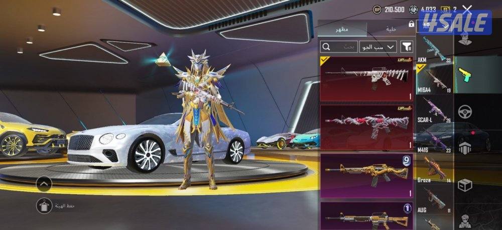 حساب ببجي للبيع8