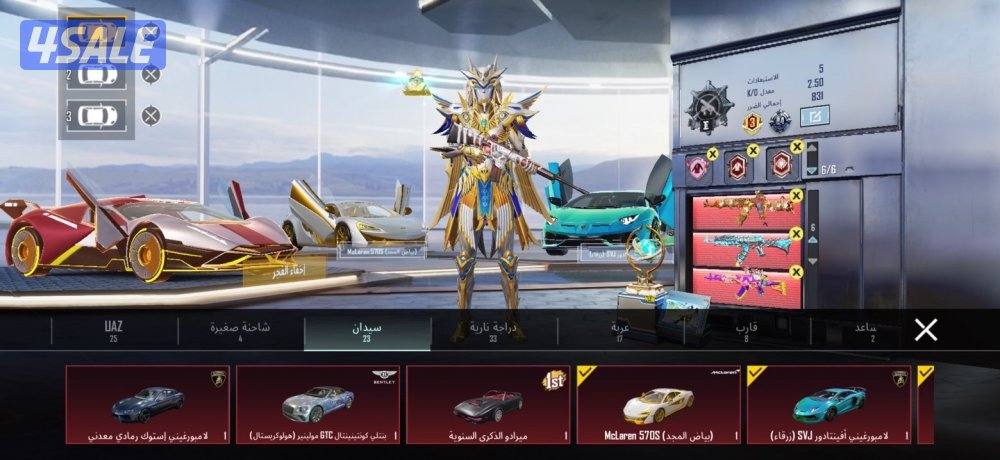 حساب ببجي للبيع11