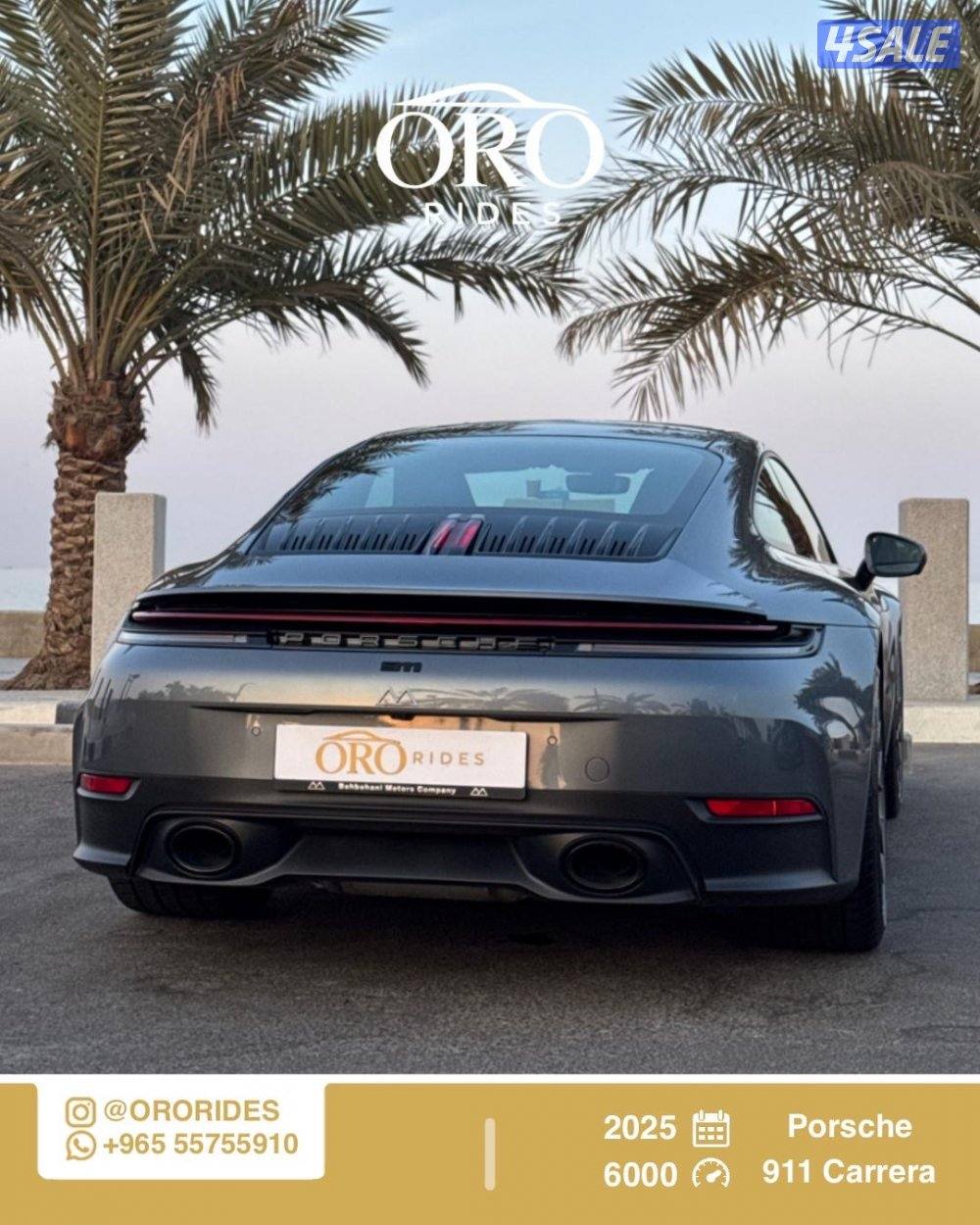 Porsche 911 Carrera1