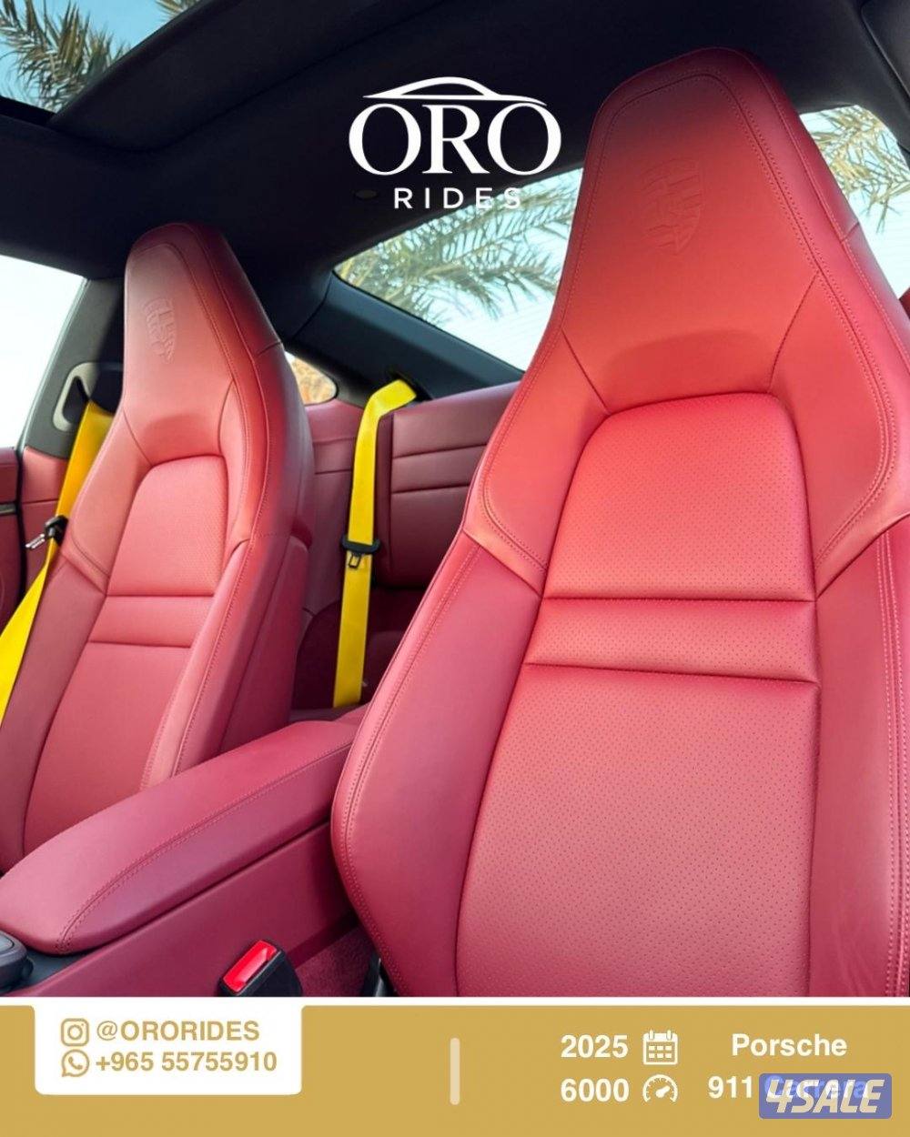 Porsche 911 Carrera5