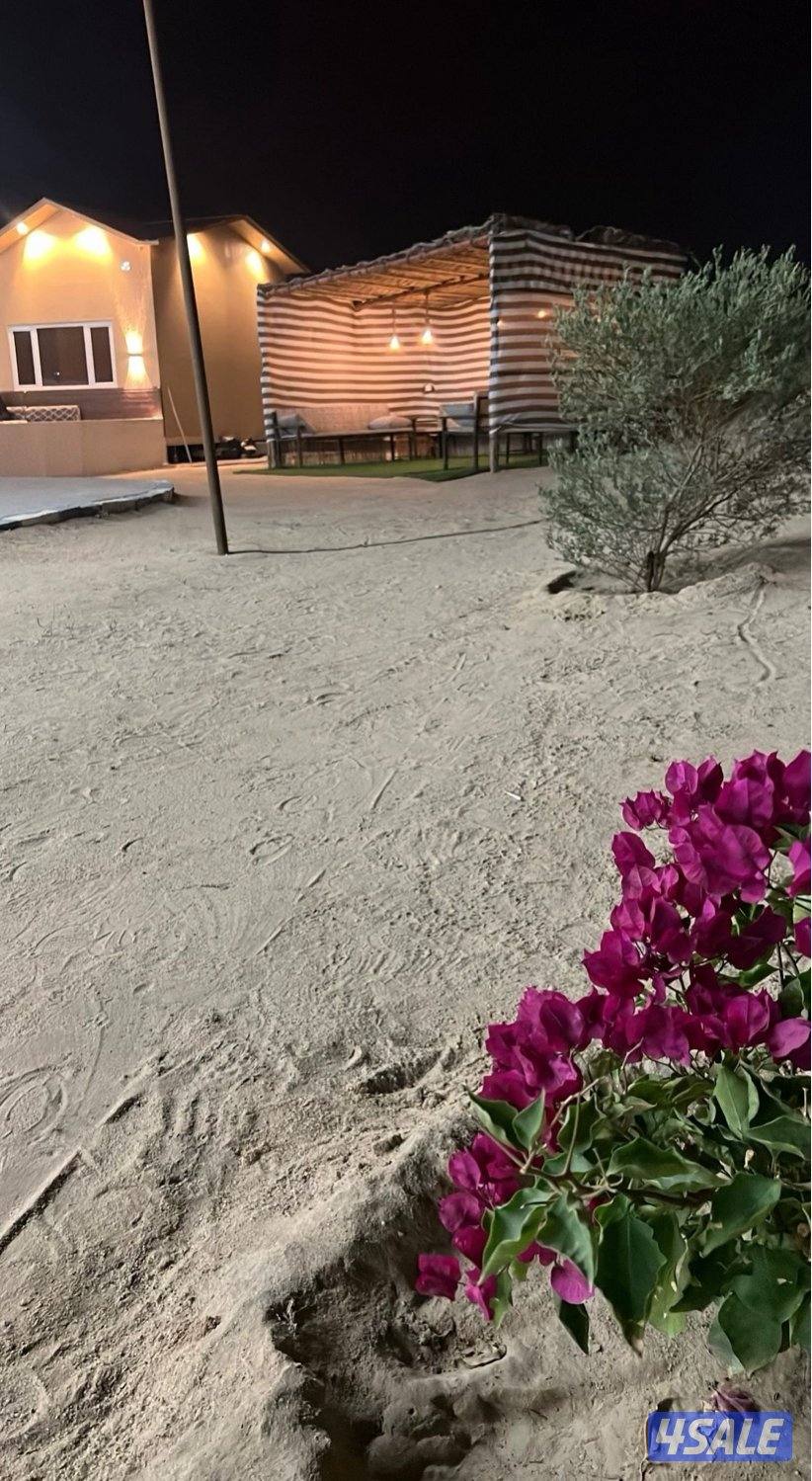 صباح الاحمد4