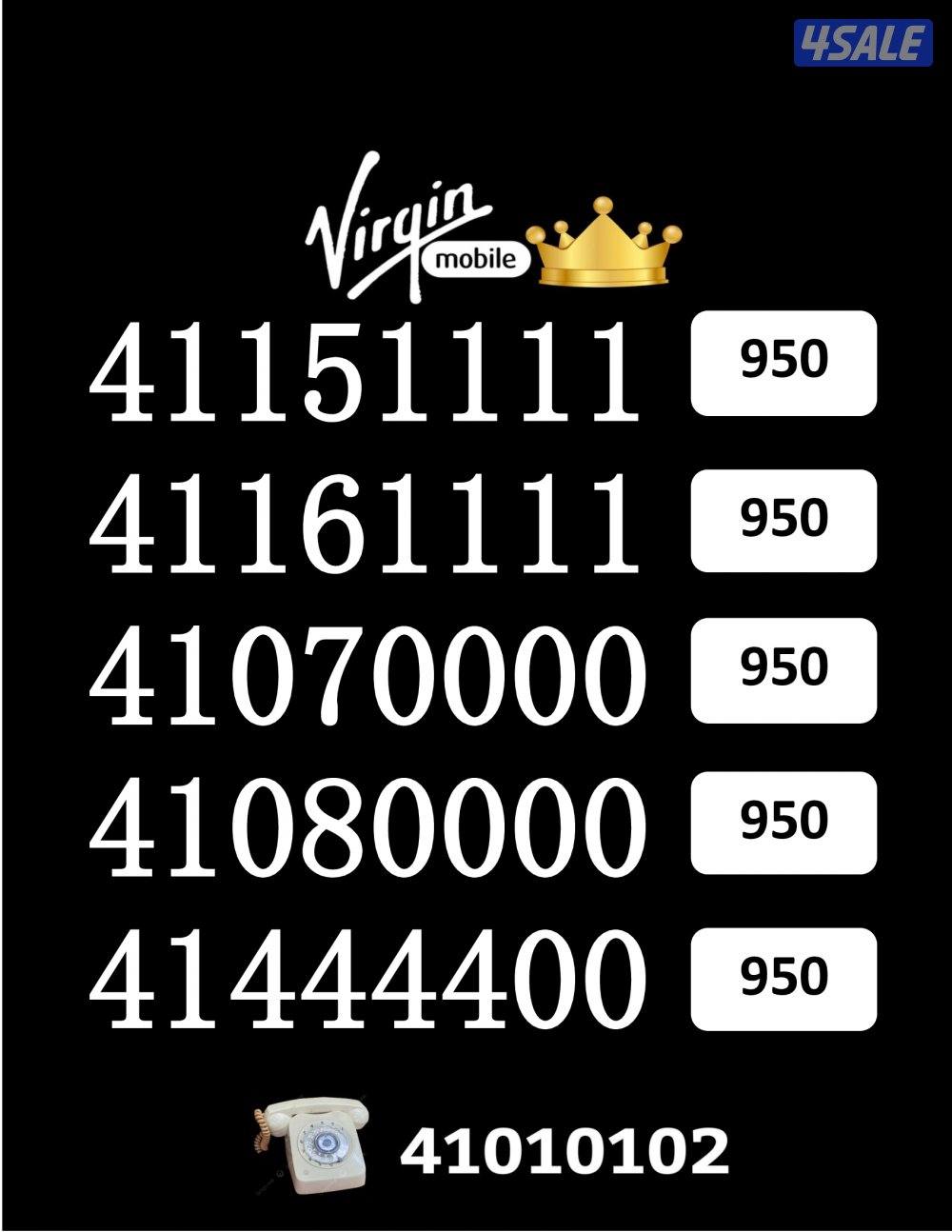 شاهد الصور2