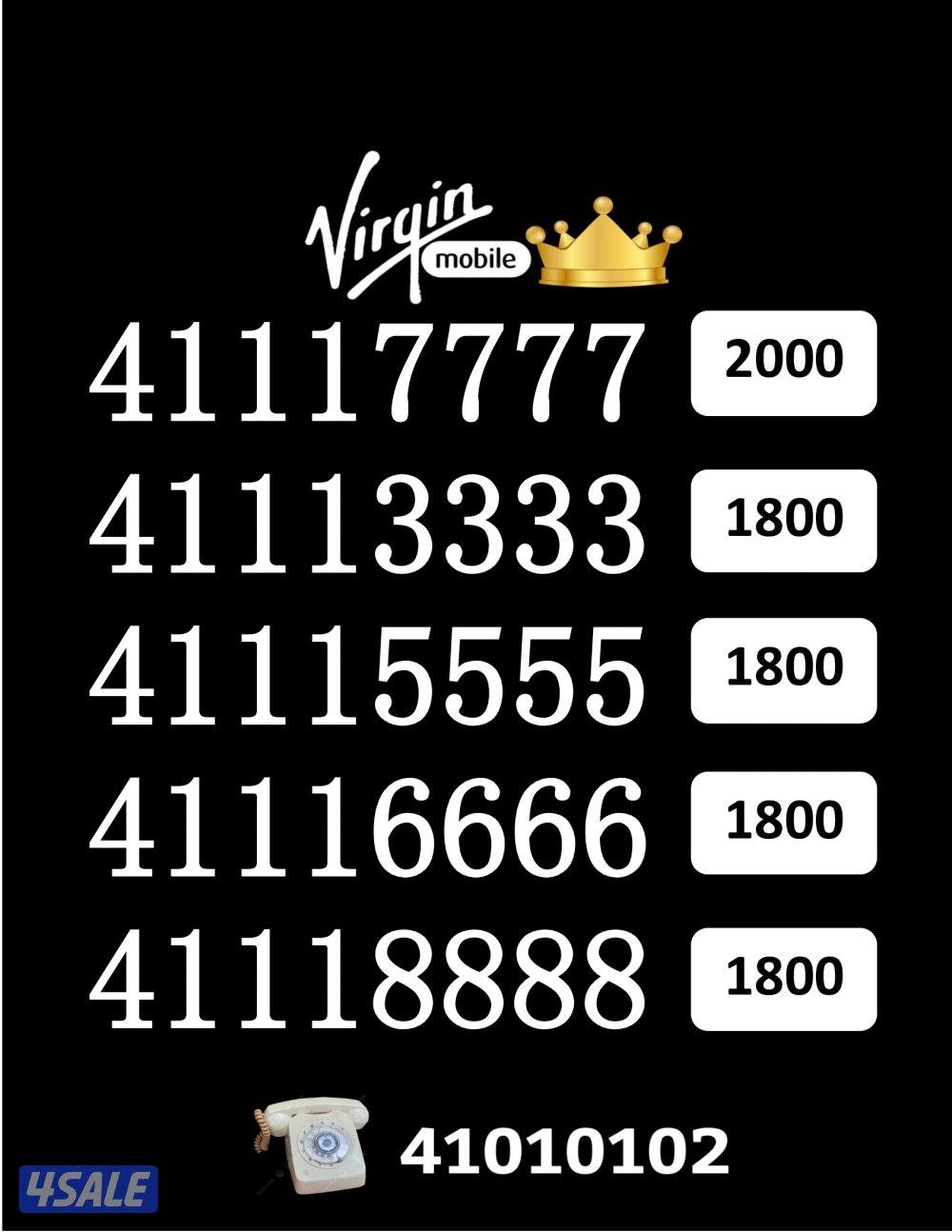 شاهد الصور4