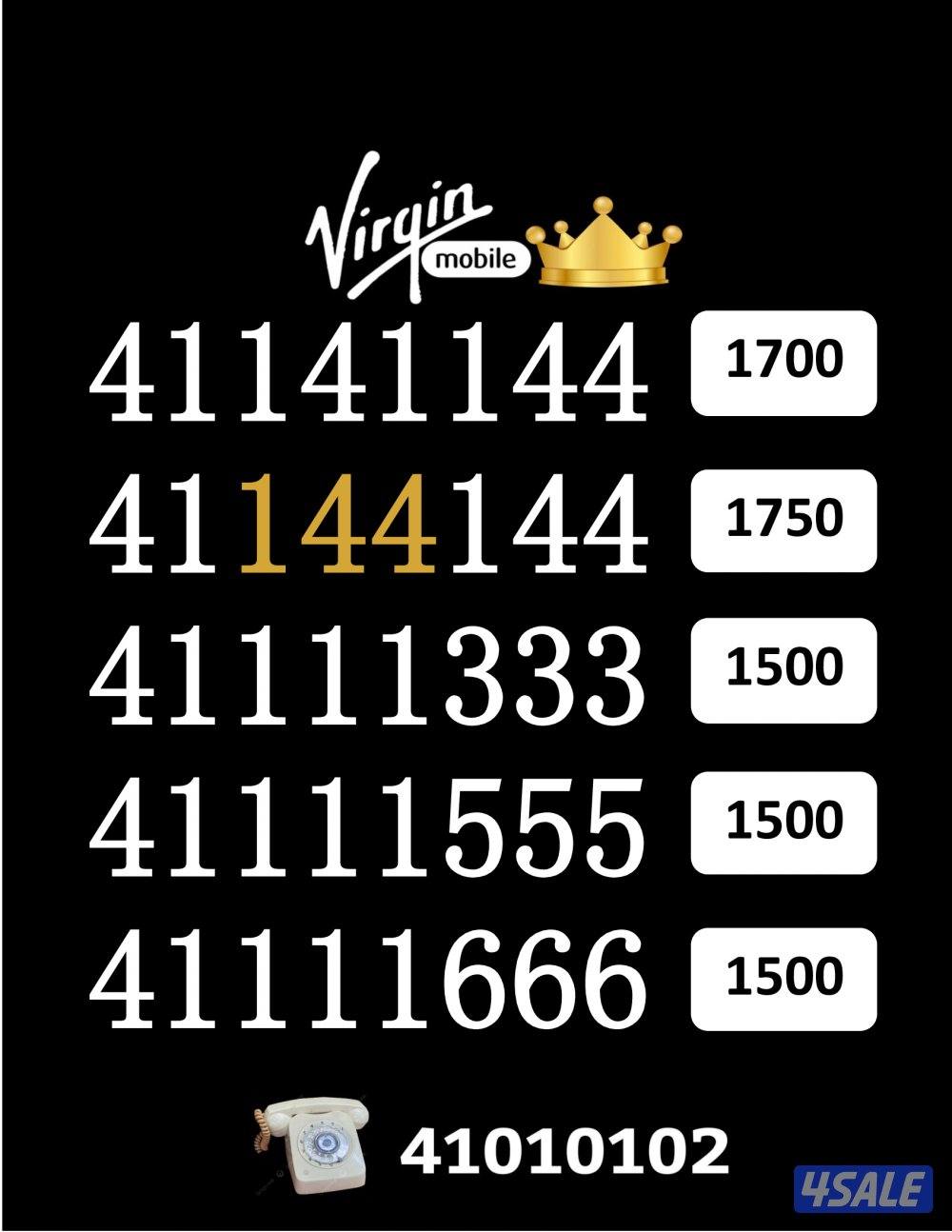 شاهد الصور11