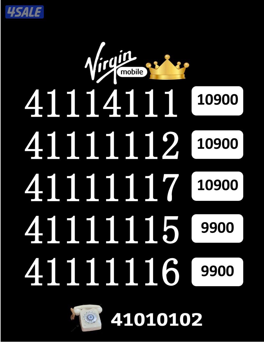 شاهد الصور12