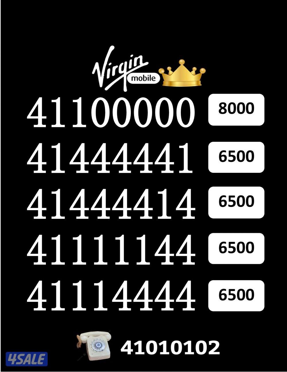 شاهد الصور13