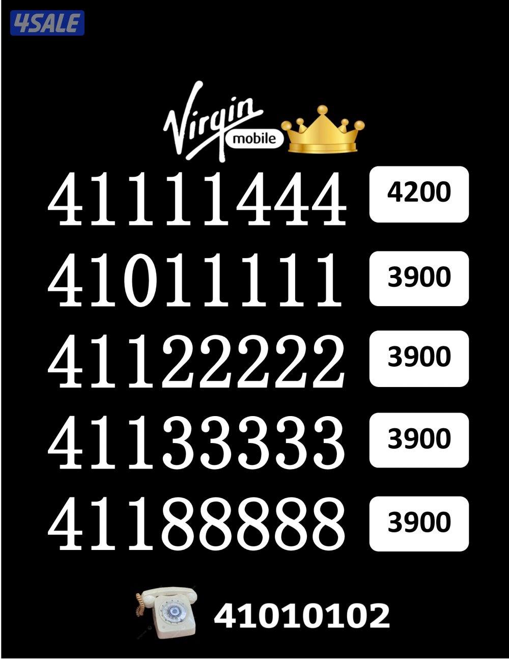 شاهد الصور14