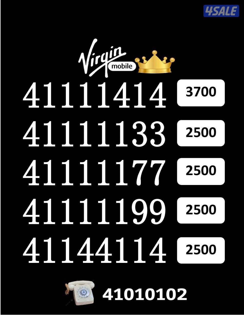 شاهد الصور15