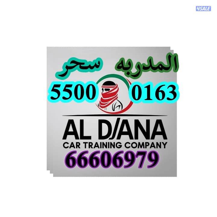 الدانه لتعليم قياده السيارات0