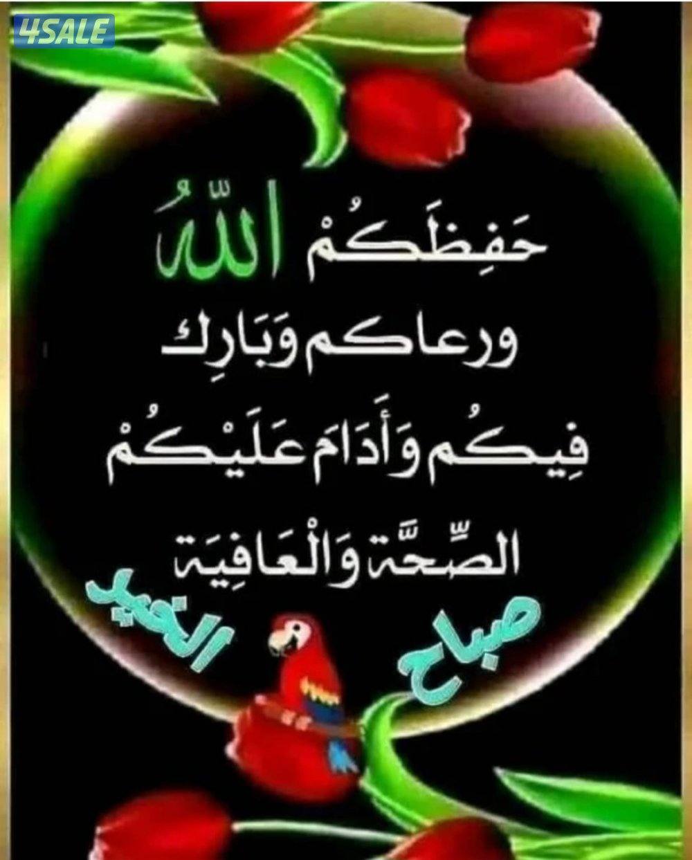 من فئة البدون ابحث عن عمل مندوب0