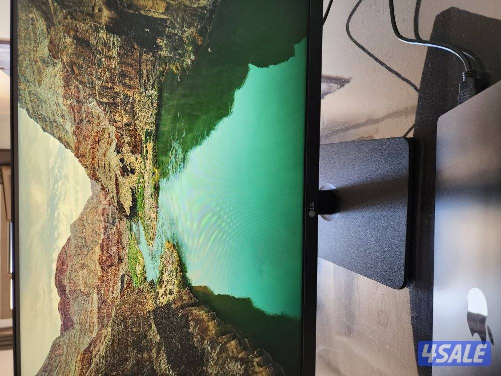 LG FHD Monitor - 24MP400 - B1