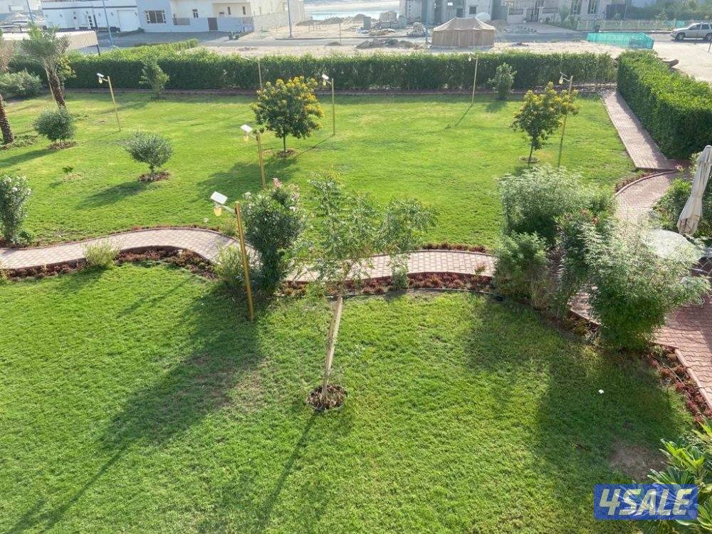 دار شيخة للعائلات2