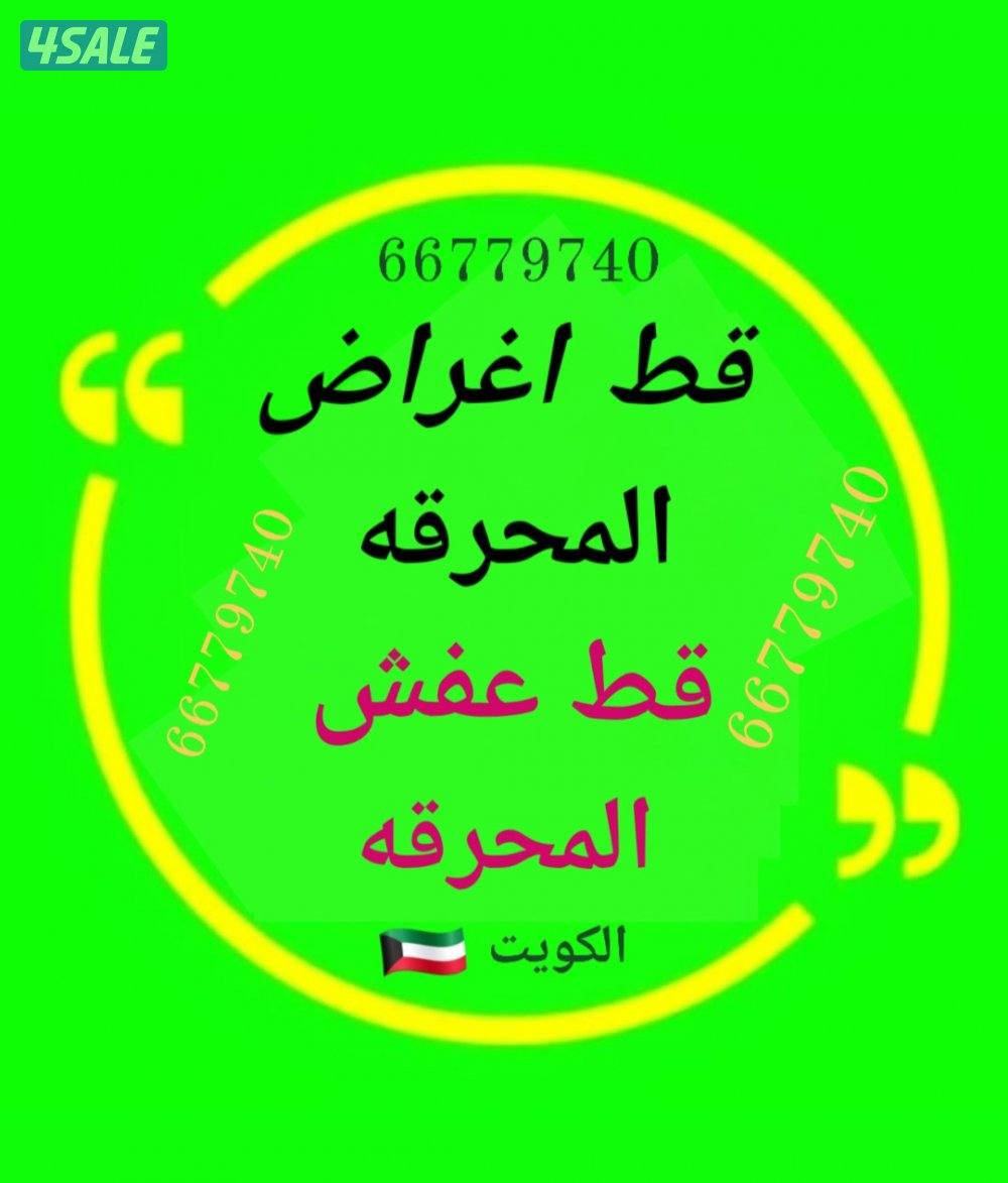 #قط #اغراض #المحرقه #الكويت #نقل عفش0