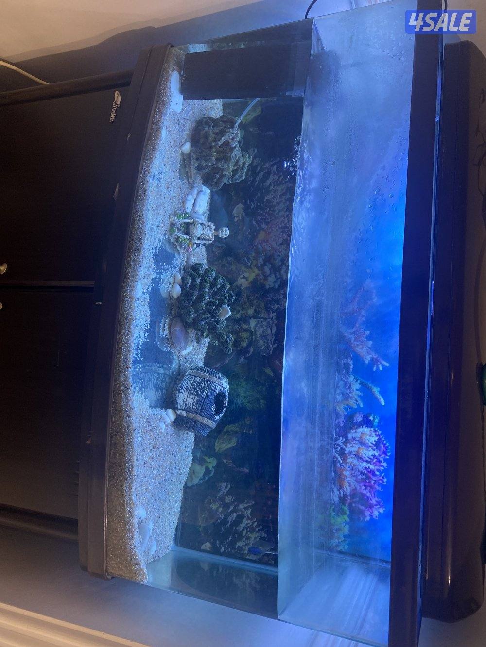 للبيع حوض سمك عدد ٢ الاول الحجم ٤٠ في ٩٠ والحوض الثاني ٥٠ في ١١٠0
