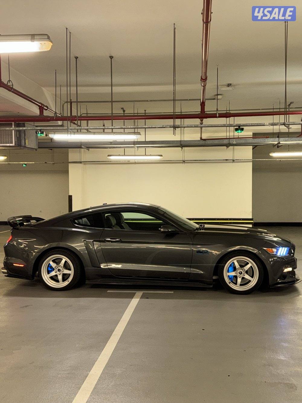 موستنق 2015 قير عادي3