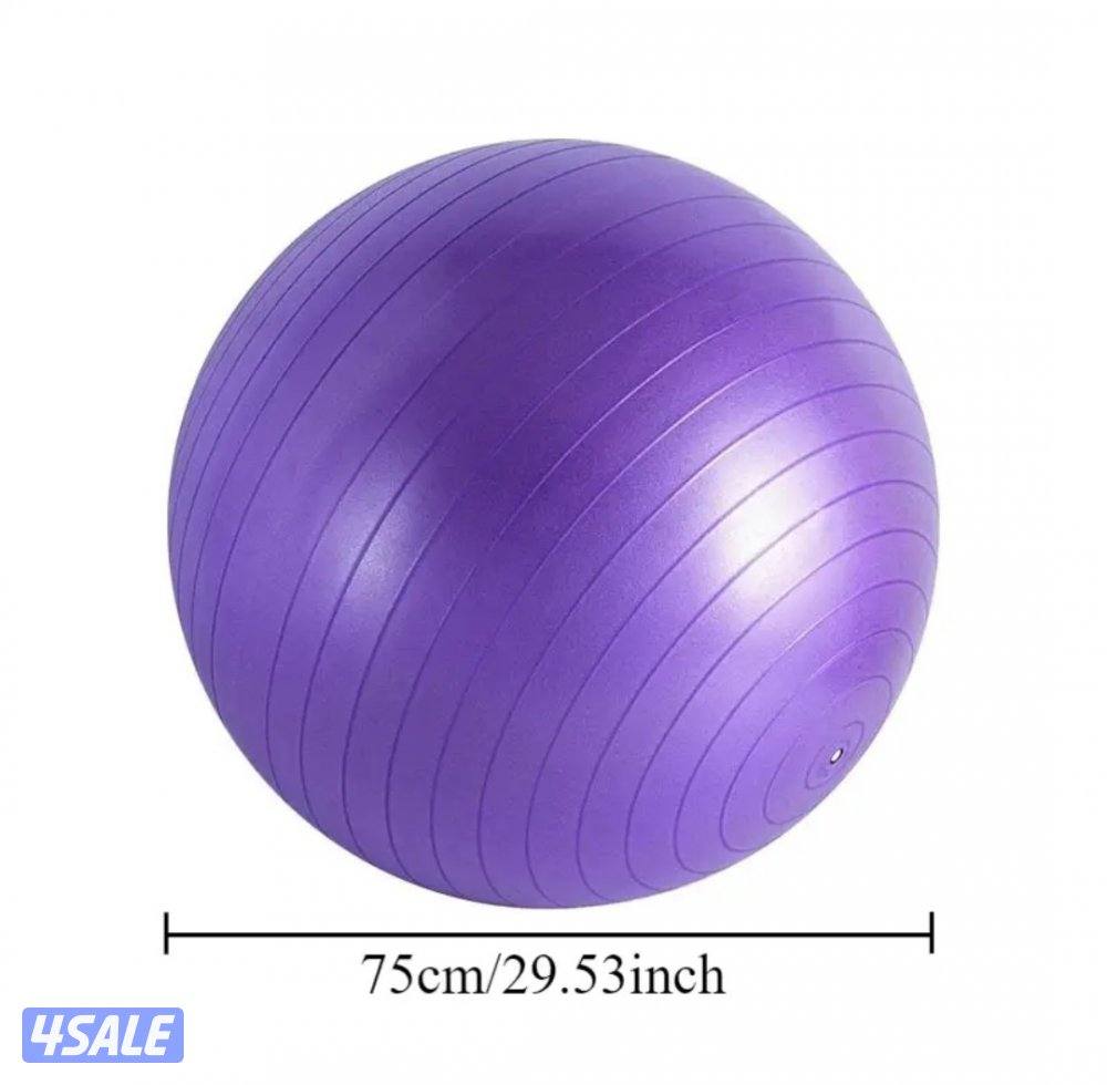 كرة اللياقة البدنية Fitness Ball1