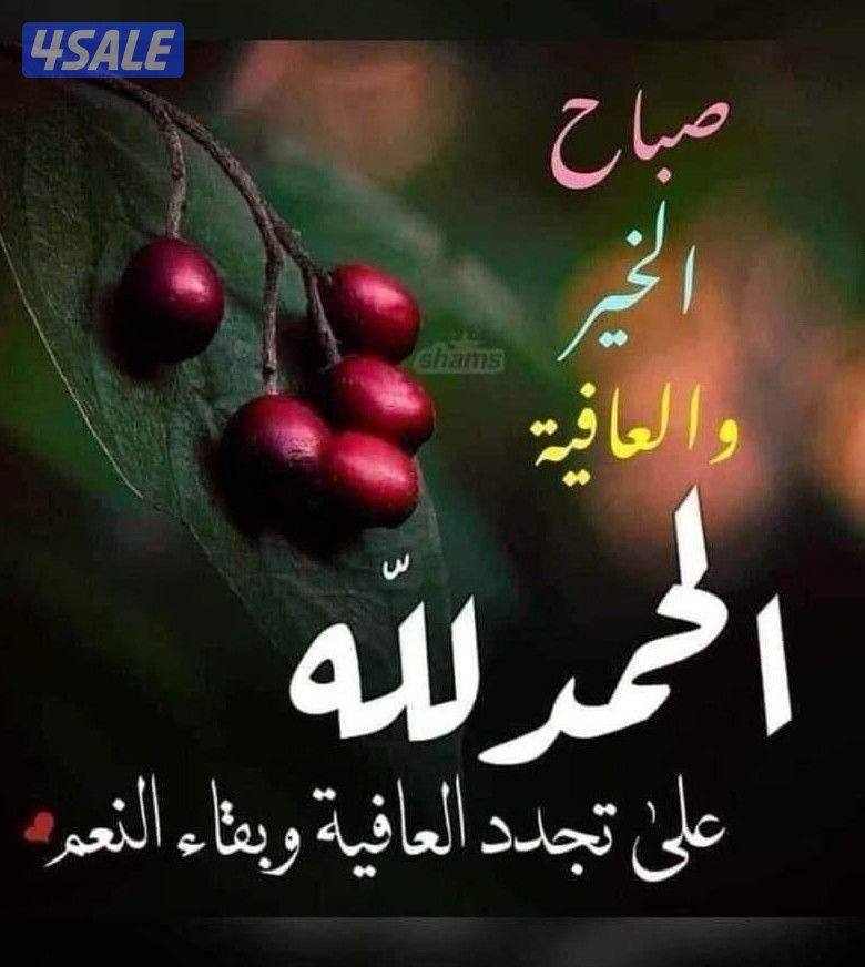 للايجار غرفتين وصاله وحمامين ومطبخ  اسوه صغيره0