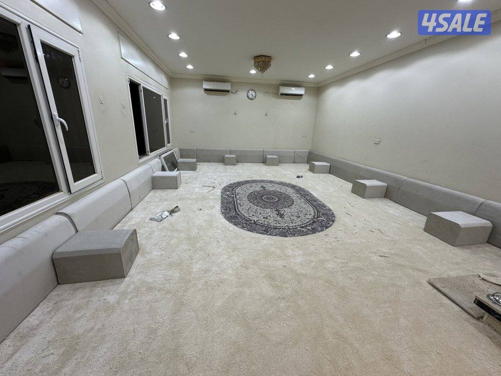 الفرونيه الظجيج11