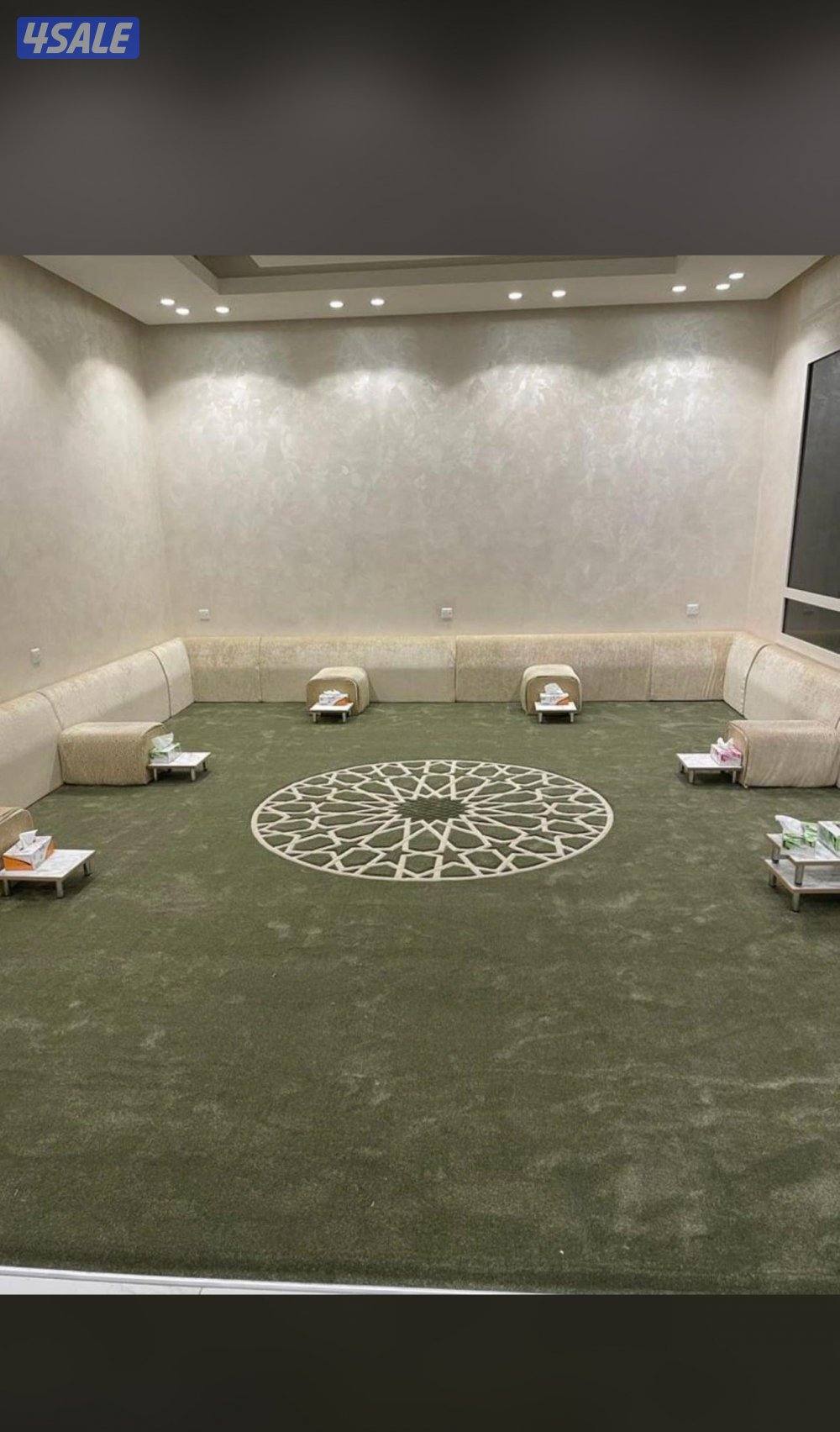 الفرونيه الظجيج13