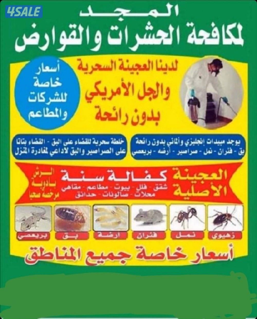 مكافحة حشرات0