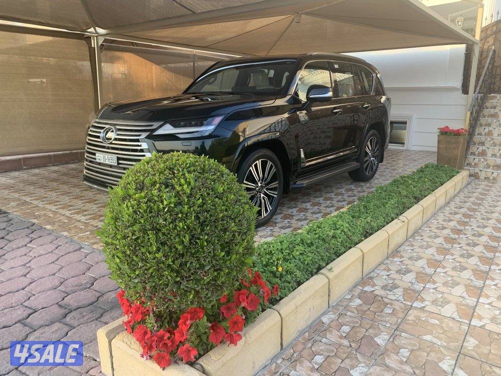 عداد ١٢ الساير1