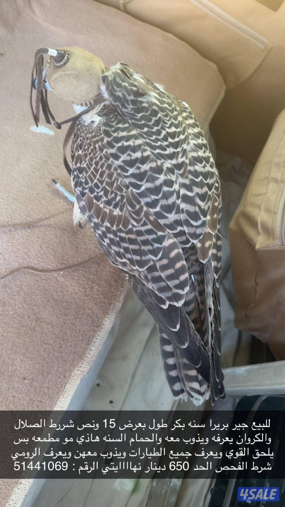 كل شي واضح بالاعلان ولايدق غير الصامل0