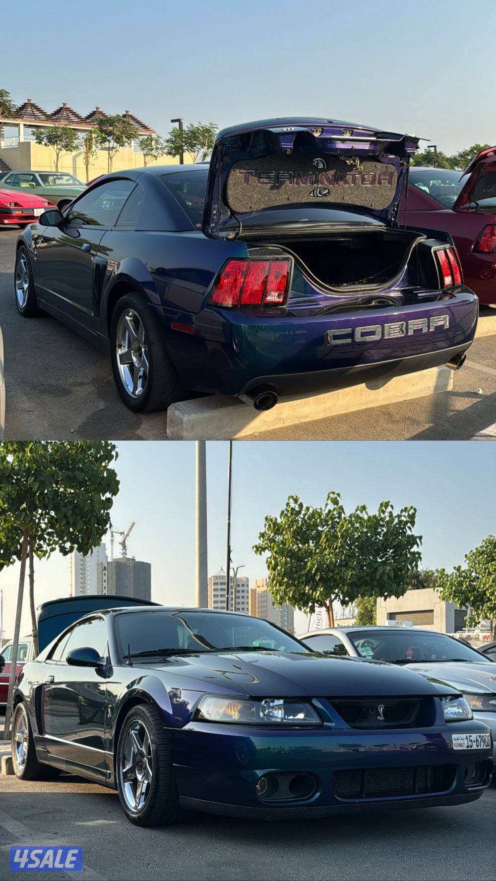 للبيع للبيع1