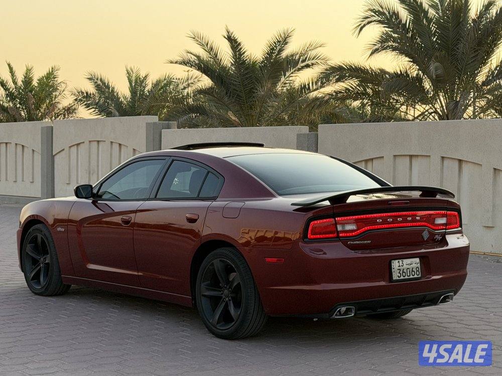 🔥الفئة المؤوية🔥3