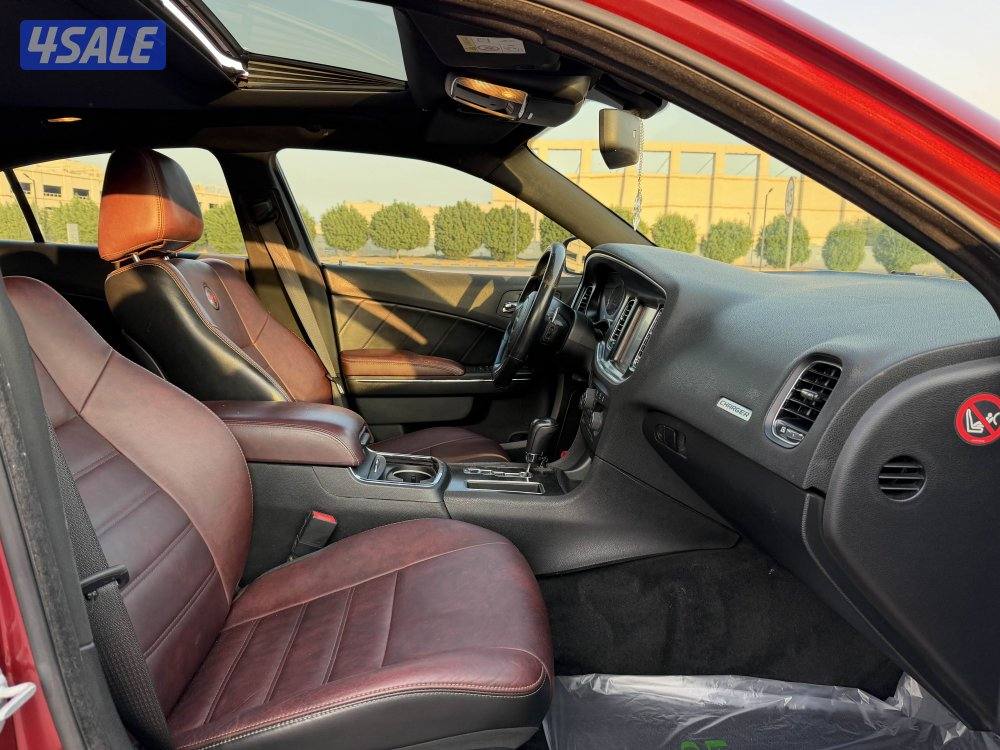 🔥الفئة المؤوية🔥7