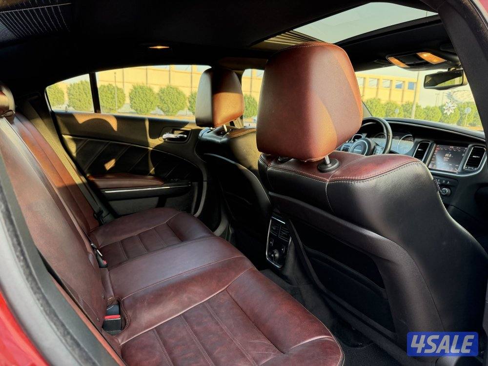 🔥الفئة المؤوية🔥8