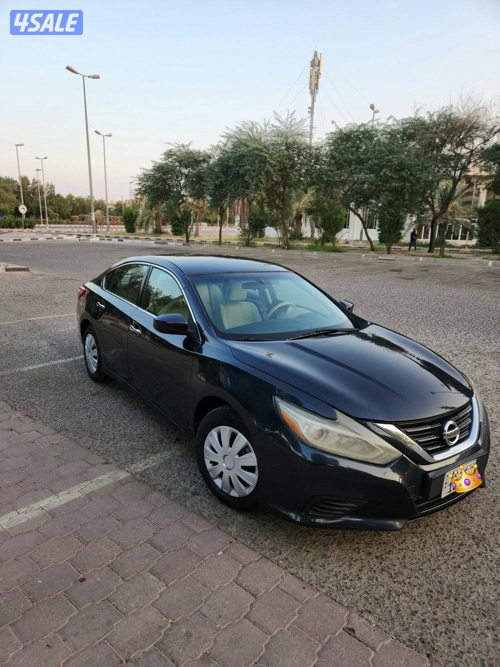 التيما ٢٠١٨  بدون اي مصاريف0