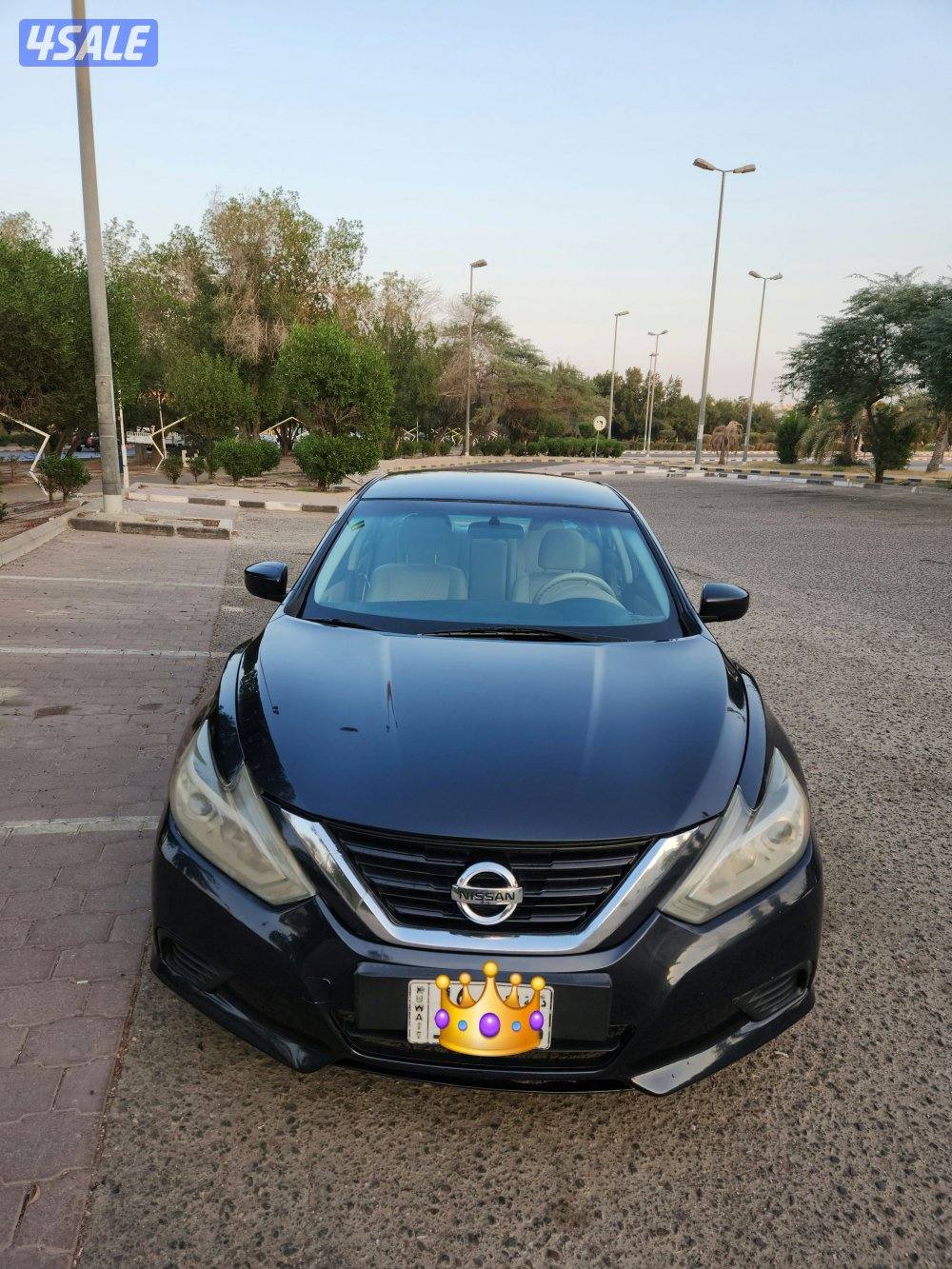 التيما ٢٠١٨  بدون اي مصاريف1