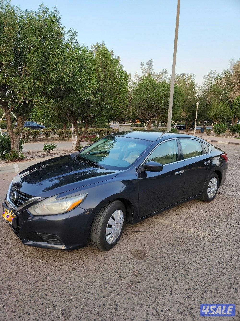 التيما ٢٠١٨  بدون اي مصاريف2