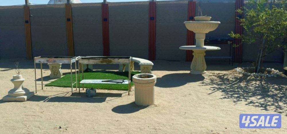 مخيم الاماكن5